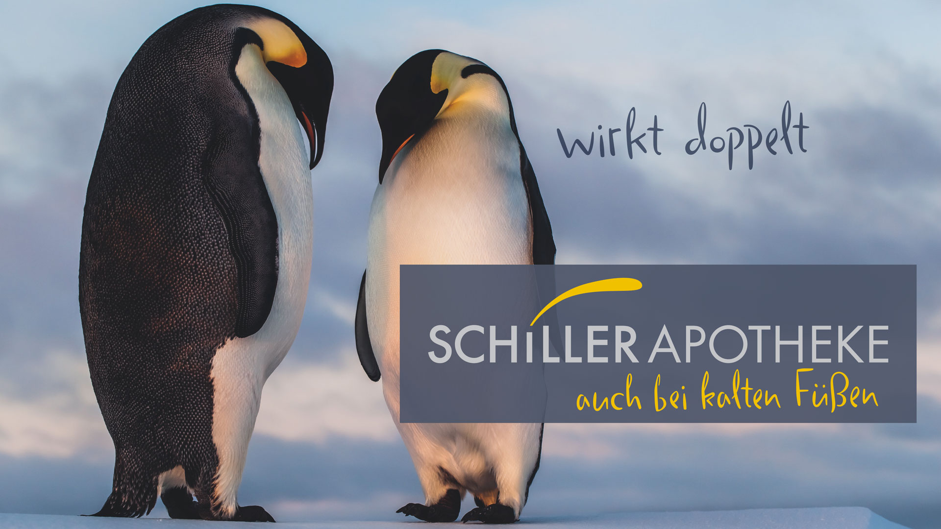 Zwei Pinguine mit dem Spruch Schiller Apotheke wirkt doppelt auch bei kalten Füßen